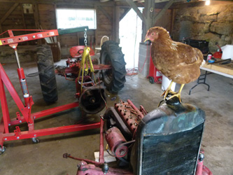 Red (the chicken) helped remember how to put the whole thing back together.