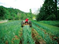 In the field: tractor-seat meditation