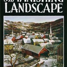 Vanishing landscape